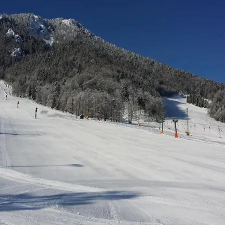 Lejlighed Katja Kranjska Gora