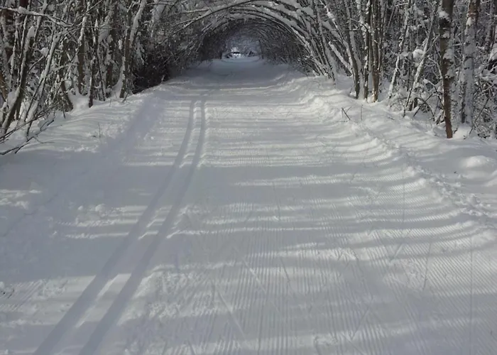 Katja 公寓 克拉尼斯卡戈拉